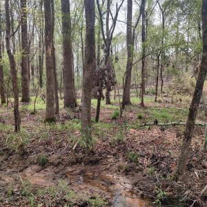 IMG_20250331_124207501_HDR