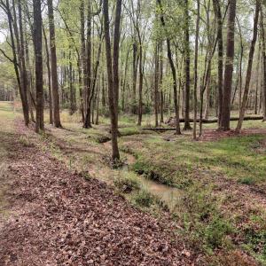 IMG_20250331_123545018_HDR