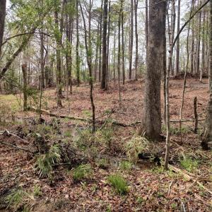 IMG_20250331_124214706_HDR