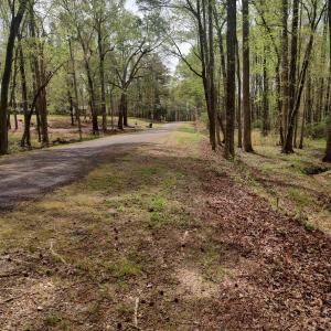 IMG_20250331_123546776_HDR