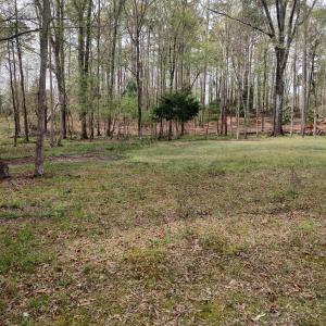 IMG_20250331_124507259_HDR