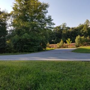 Photo #13 of 360 Patrick Henry Hwy, Amelia Court House, VA 29.6 acres