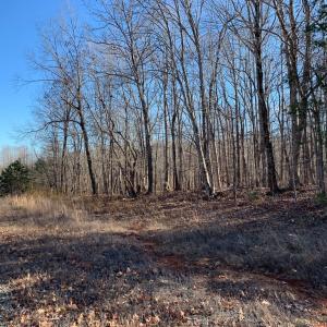 Photo #11 of 662 Birch Elmo Rd, South Boston, VA 5.7 acres