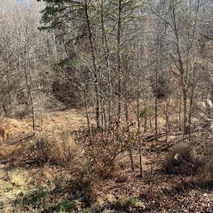 Photo #12 of 662 Birch Elmo Rd, South Boston, VA 5.7 acres