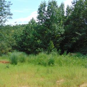 Photo #14 of 662 Birch Elmo Rd, South Boston, VA 5.7 acres