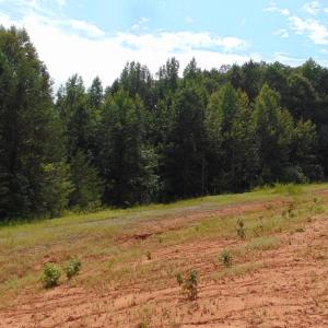 Photo #16 of 662 Birch Elmo Rd, South Boston, VA 5.7 acres