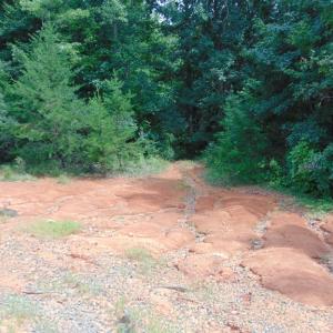 Photo #18 of 662 Birch Elmo Rd, South Boston, VA 5.7 acres