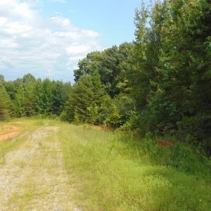 Photo #19 of 662 Birch Elmo Rd, South Boston, VA 5.7 acres