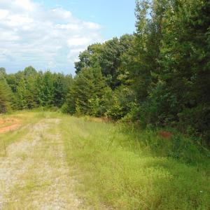 Photo #20 of 662 Birch Elmo Rd, South Boston, VA 5.7 acres