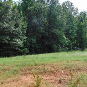 Photo #23 of 662 Birch Elmo Rd, South Boston, VA 5.7 acres