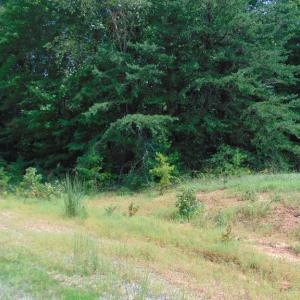 Photo #24 of 662 Birch Elmo Rd, South Boston, VA 5.7 acres