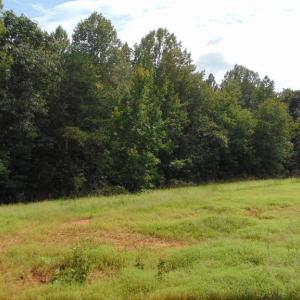 Photo #25 of 662 Birch Elmo Rd, South Boston, VA 5.7 acres