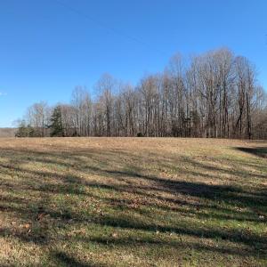 Photo #3 of 662 Birch Elmo Rd, South Boston, VA 5.7 acres