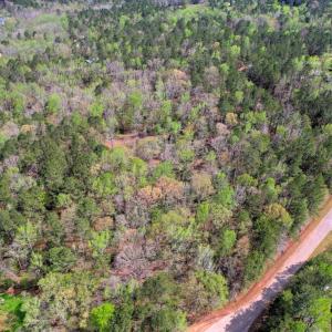 overhead view