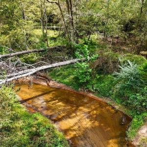 ChevesCreek-1