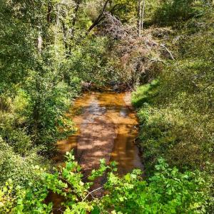 ChevesCreek-2