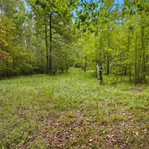 level portion of parcel