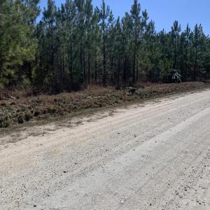 lot 2 c