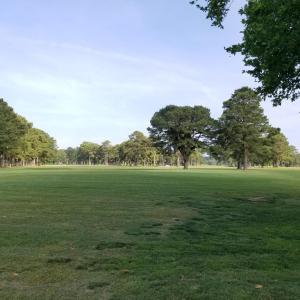 Golf course, much of it along the water