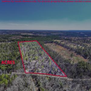 Bluffwood Rd 3.22.25 outline-1