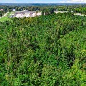 Photo #12 of Prince Edward Hwy, Rice, VA 10.9 acres