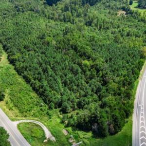 Photo #7 of Prince Edward Hwy, Rice, VA 10.9 acres