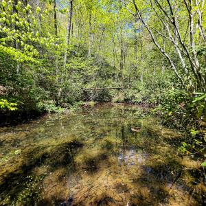 Photo #25 of Fire Trail Lane, Stuart, VA 585.0 acres