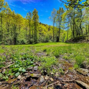 Photo #28 of Fire Trail Lane, Stuart, VA 585.0 acres