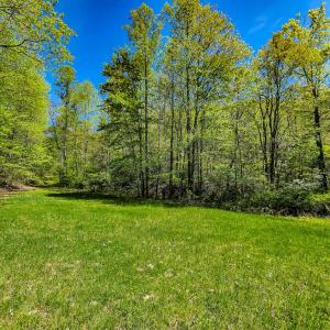Photo #31 of Fire Trail Lane, Stuart, VA 585.0 acres