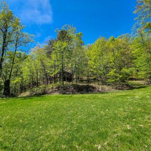 Photo #32 of Fire Trail Lane, Stuart, VA 585.0 acres