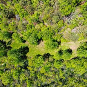 Photo #40 of Fire Trail Lane, Stuart, VA 585.0 acres