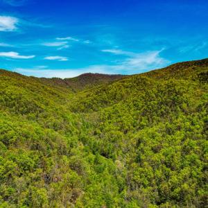 Photo #43 of Fire Trail Lane, Stuart, VA 585.0 acres