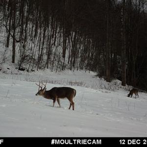 Photo #45 of Fire Trail Lane, Stuart, VA 585.0 acres
