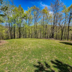 Photo #51 of Fire Trail Lane, Stuart, VA 585.0 acres
