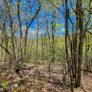 Photo #55 of Fire Trail Lane, Stuart, VA 585.0 acres