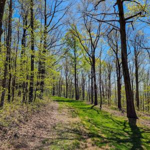 Photo #61 of Fire Trail Lane, Stuart, VA 585.0 acres
