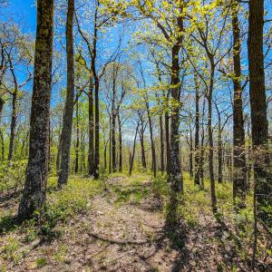 Photo #64 of Fire Trail Lane, Stuart, VA 585.0 acres