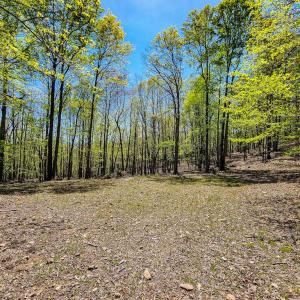 Photo #73 of Fire Trail Lane, Stuart, VA 585.0 acres