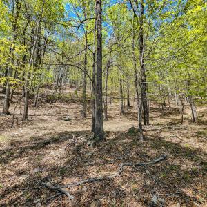 Photo #74 of Fire Trail Lane, Stuart, VA 585.0 acres