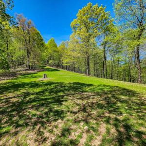 Photo #77 of Fire Trail Lane, Stuart, VA 585.0 acres