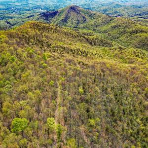 Photo #78 of Fire Trail Lane, Stuart, VA 585.0 acres