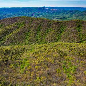 Photo #79 of Fire Trail Lane, Stuart, VA 585.0 acres