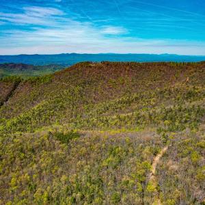 Photo #80 of Fire Trail Lane, Stuart, VA 585.0 acres