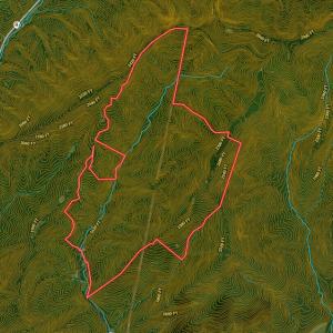 Photo #90 of Fire Trail Lane, Stuart, VA 585.0 acres