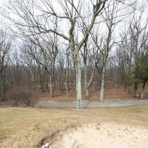 Photo #2 of 355 DEVILS KNOB LOOP, WINTERGREEN, VA 0.4 acres