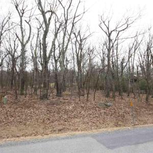 Photo #3 of 355 DEVILS KNOB LOOP, WINTERGREEN, VA 0.4 acres