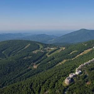 Photo #5 of 355 DEVILS KNOB LOOP, WINTERGREEN, VA 0.4 acres