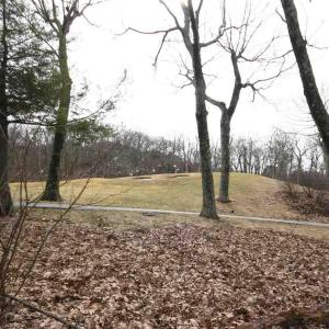 Photo #1 of 355 DEVILS KNOB LOOP, WINTERGREEN, VA 0.4 acres