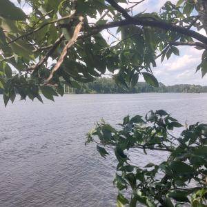 IMG_20250615_153446965_HDR