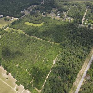 DJI_0544